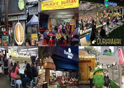 Top 10 Durian